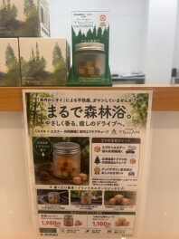まるで森林浴。～やさしく香る、癒しのドライブへ。～